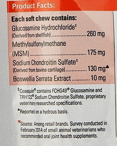 Suplemento de salud para perros