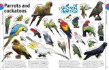 El Libro De Animales Una Enciclopedia Visual De La Vida