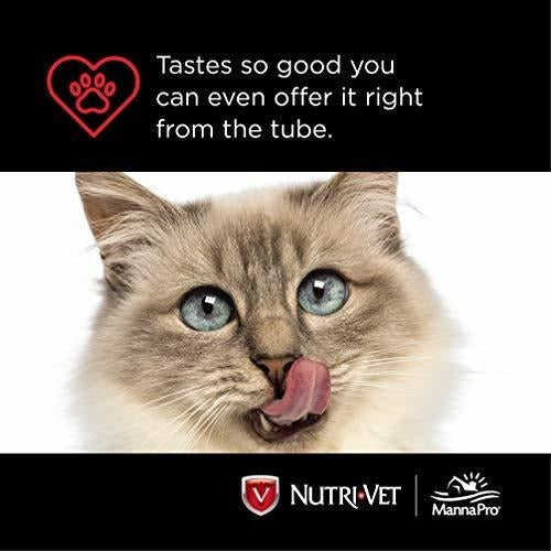 gel Para Gatos Sabor A Pollo