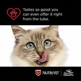 gel Para Gatos Sabor A Pollo