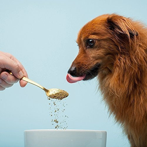 El eslabón perdido  Suplemento Para Perros Totalmente Natural