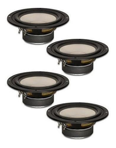 Subwoofer De Escenario, Woofers De Cono