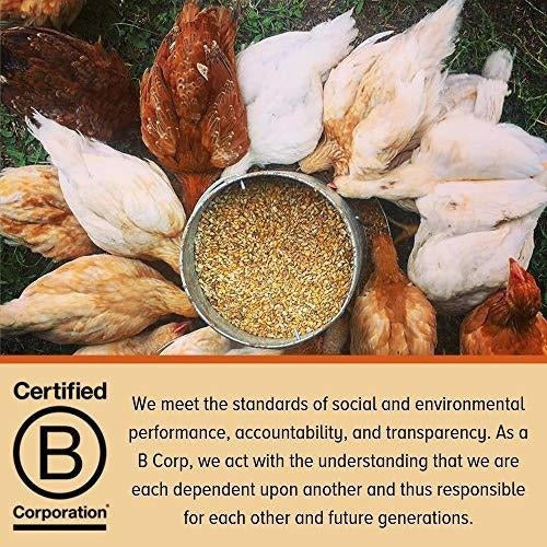 Alimentos para rascar y picotear Suplemento De Cluckin
