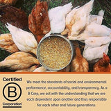 Alimentos para rascar y picotear Suplemento De Cluckin