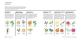 Recetas Y Consejos Para Usar Aceites