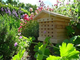Casa Del Sistema De Manejo De La Abeja Mason