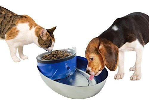 Fuentes de plástico y acero inoxidable para mascotas