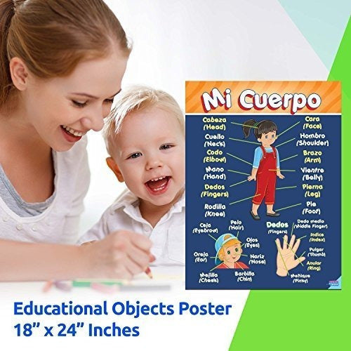 Poster Educacional