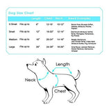 Colecciones De Disfraces De California Pup-a-razzi Barkfest