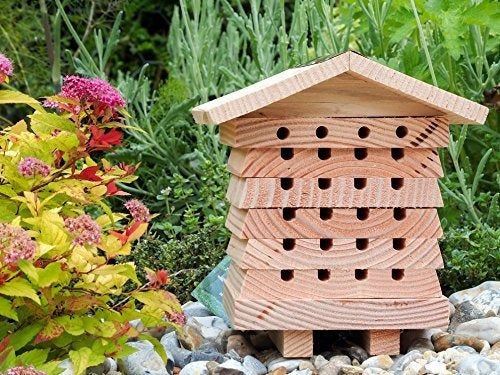 Casa Del Sistema De Manejo De La Abeja Mason