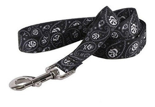 Diseño De Perro Amarillo Cráneos De Paisley Correa De Perro