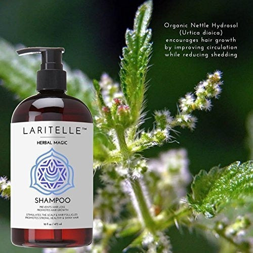 Laritelle Organic Champú Hipoalergénico Sin Perfume 17.5 Oz