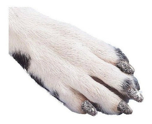 Tapas de uñas - 40 tapones adhesivos para perros