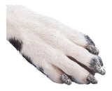 Tapas de uñas - 40 tapones adhesivos para perros