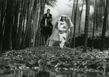 Kuroneko (la Colección de Criterios) [blu-ray]