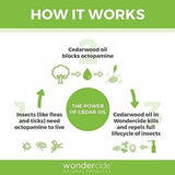 Wondercide Pulgas, Garrapatas Y Mosquitos Para Controlar