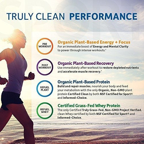Proteína Vegetal A Base De Plantas De Garden Of Life Sport