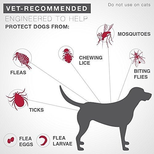 Prevención De Pulgas, Garrapatas Bayer K9 Advantix Ii