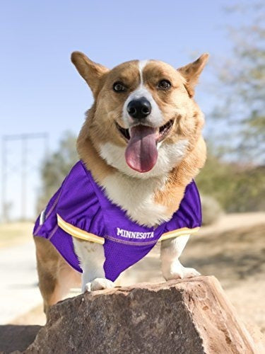 camiseta para perro