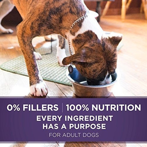 Formula Alimento para perros