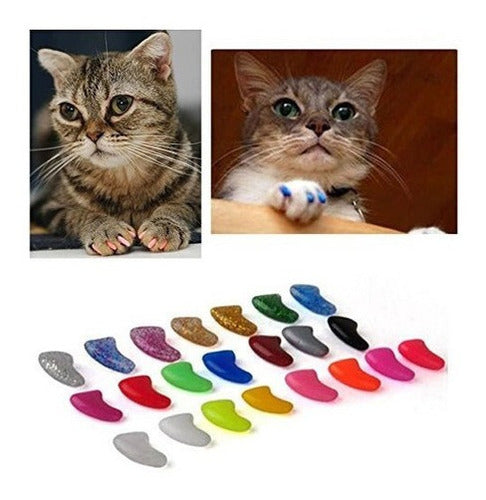 Tapas Cubiertas Para Gatos