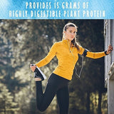 proteína vegana a base de plantas