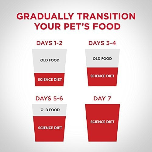 Comida Húmeda Para Cachorros