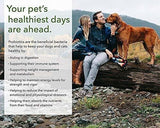 Hiperbióticos Pro-pets: Un Probiótico Para Perros Y Gatos: