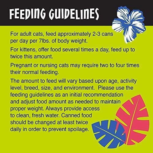 Comida Para Gatos Conservada