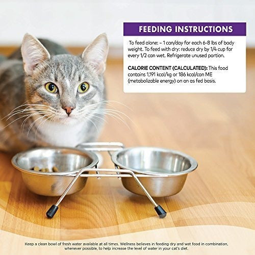 Comida De Gato Enlatada Húmeda De Grano Natural
