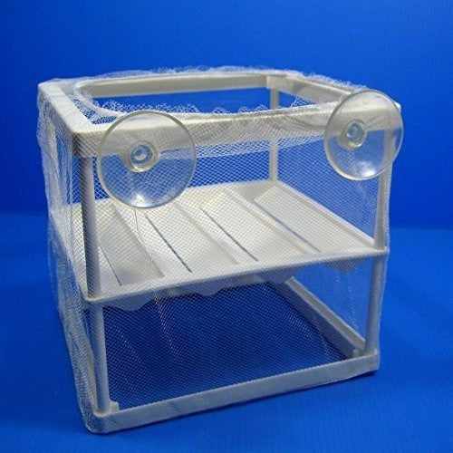 Caja De Incubación De Separación De Criadero