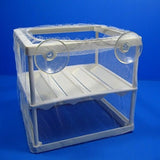 Caja De Incubación De Separación De Criadero