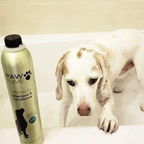 Champú Y Acondicionador Premium Pawfume - 12 Oz (azul