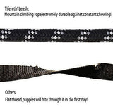 Correas Para Perros Para Perros Medianos Y Grandes