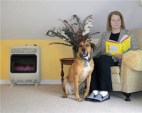 Calentador De 20,000 Btu