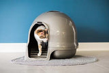 Caja de arena para gatos 3 colores