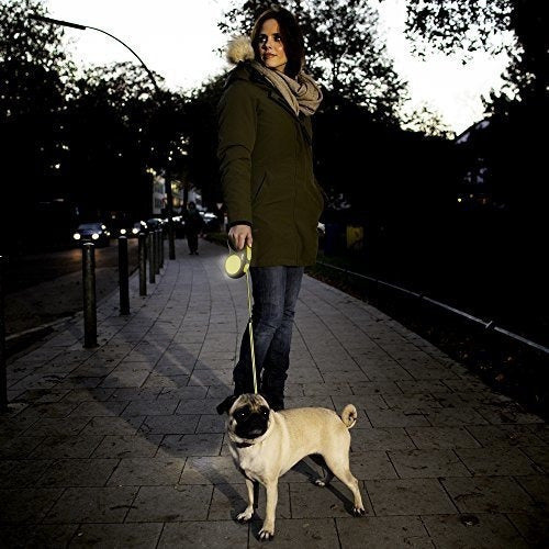 Cinta Para Correa De Perro  retráctil reflectante de neón