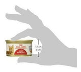 Canin Feline Health Nutrition Alimento Para Gatos