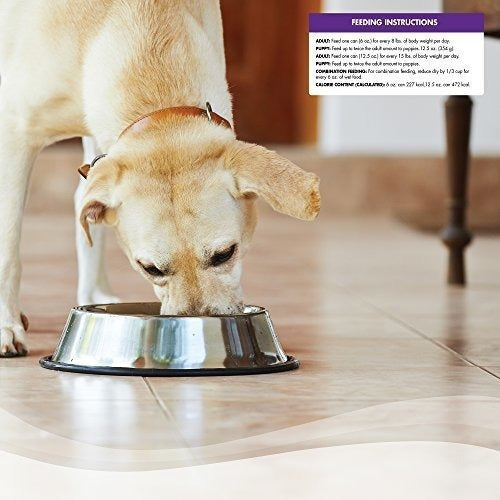 Alimento De Perro Enlatado Húmedo