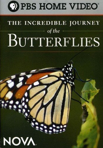 El Increíble Viaje De Las Mariposas-DVD