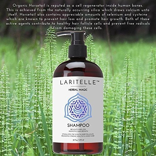 Laritelle Organic Champú Hipoalergénico Sin Perfume 17.5 Oz