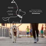 Extensión De Cuerda De Perro
