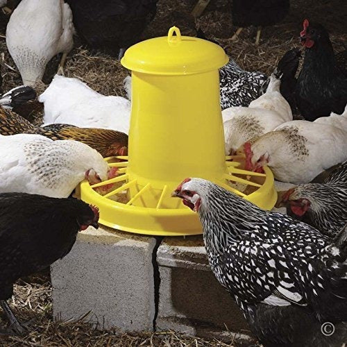 Alimentador De Las Aves De Corral De Saturn 15-15 Libras