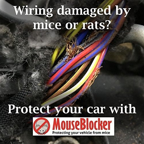 Mouseblocker