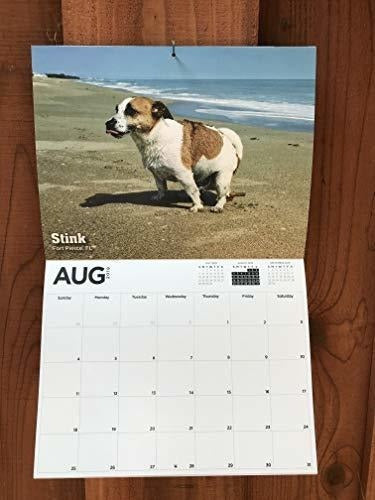 Calendario 2019 De La Mordaza Del Elefante Blanco