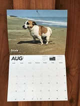 Calendario 2019 De La Mordaza Del Elefante Blanco