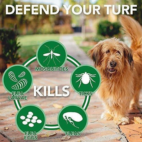 El Mejor Veterinario Para Pulgas Y Garrapatas Y El Aerosol