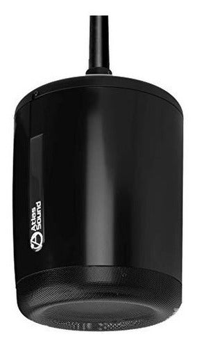 Altavoz de montaje colgante de 2 y 4