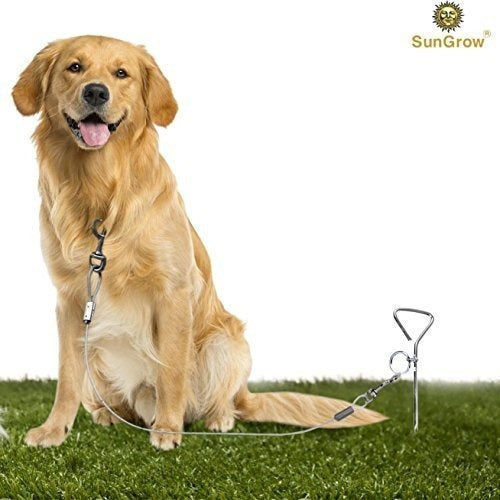 Estaca de amarre para perros de hasta 80 libras