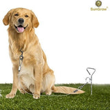 Estaca de amarre para perros de hasta 80 libras